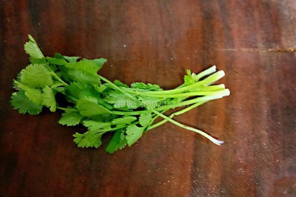 金针菇番茄豆腐汤的做法图解10