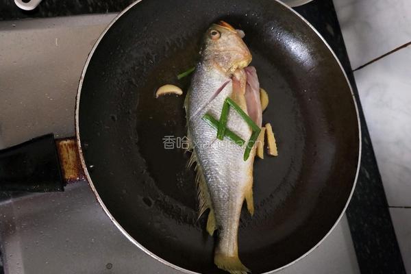 红烧大黄鱼的做法图解2