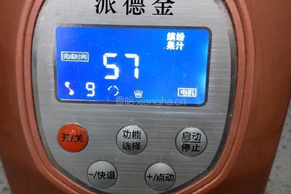 黄瓜梨汁的做法图解8