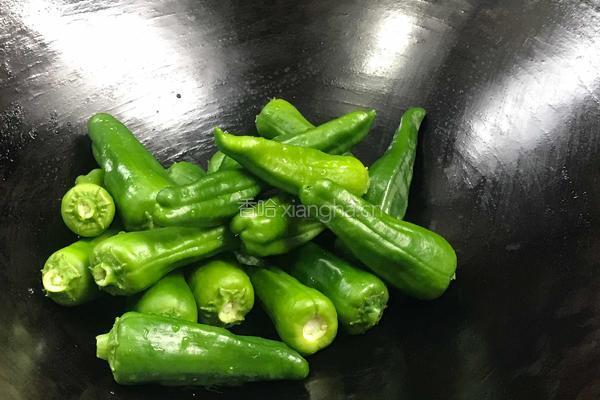 干爆青椒（少油减肥版）的做法图解4
