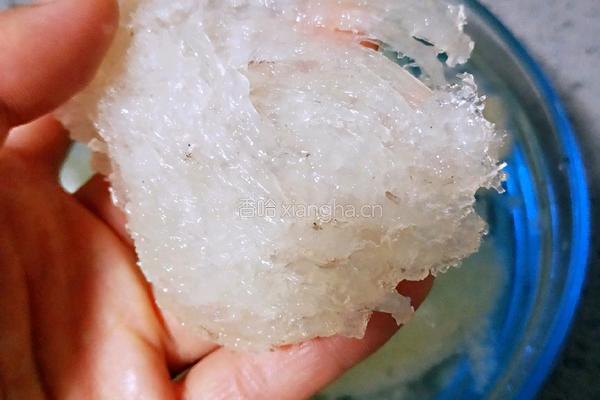 枸杞牛奶炖燕窝的做法图解4