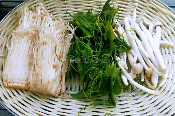 菌汤龙须菜的做法图解1