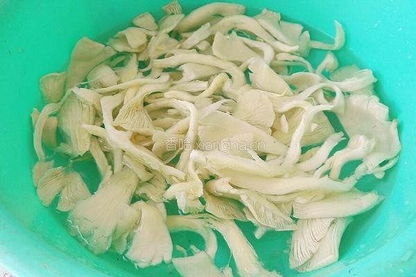 平菇豆腐的做法图解3