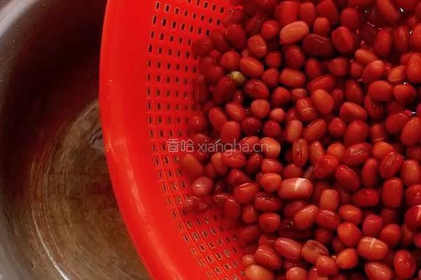 懒人版蜜豆的做法图解4