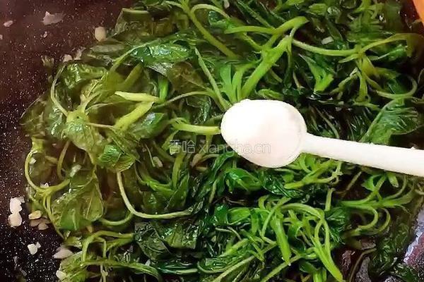 蒜香苋菜的做法图解6