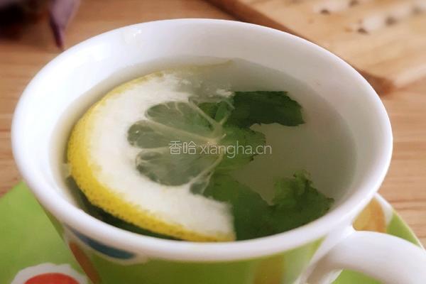 柠檬薄荷蜂蜜饮的做法图解4