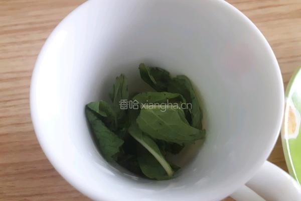 柠檬薄荷蜂蜜饮的做法图解2