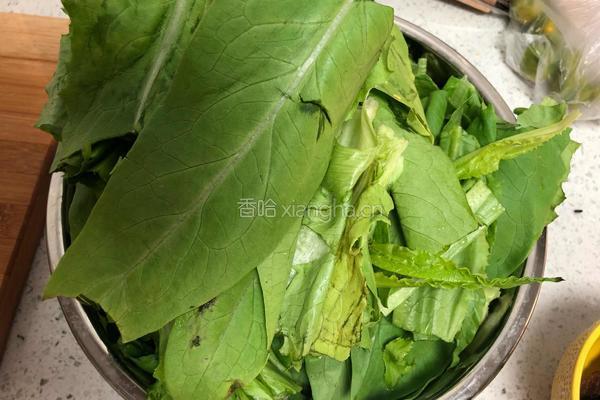 豆豉鲮鱼油麦菜的做法图解1