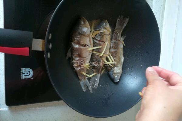 鲫鱼豆腐汤的做法图解9