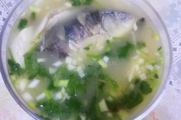 鲫鱼豆腐汤的做法图解16