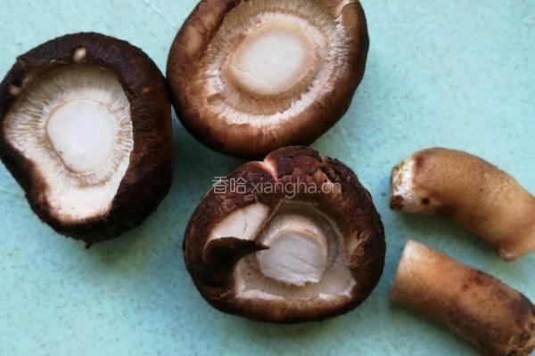 黄瓜金针菇汤的做法图解4