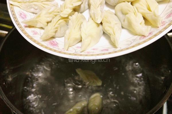 生菜牛肉水饺的做法图解11