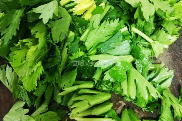 芹菜生饮的做法图解2
