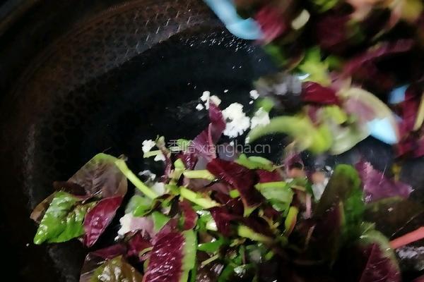 蒜泥苋菜的做法图解6