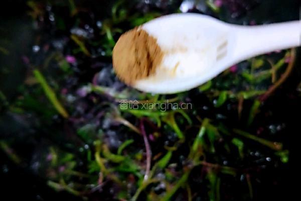 蒜泥苋菜的做法图解8