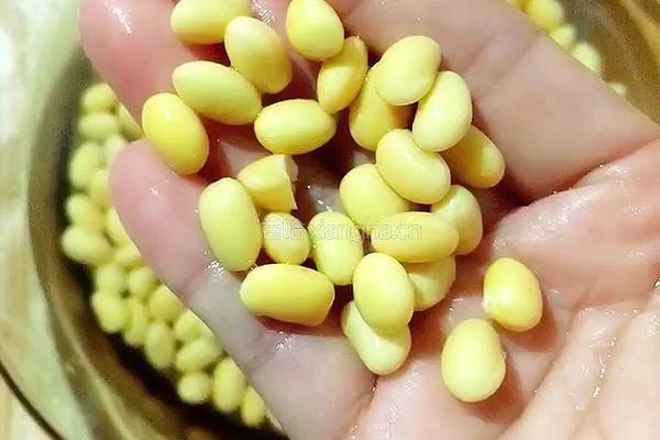 迷情紫薯豆浆的做法图解4