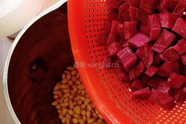 迷情紫薯豆浆的做法图解7