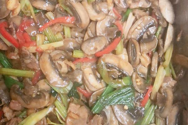 蘑菇炒肉片的做法图解7