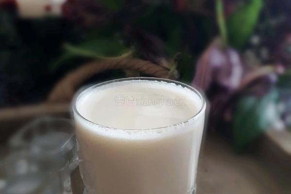 豆浆的做法图解5