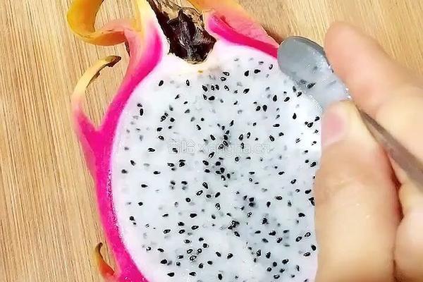 火龙果沙拉的做法图解2