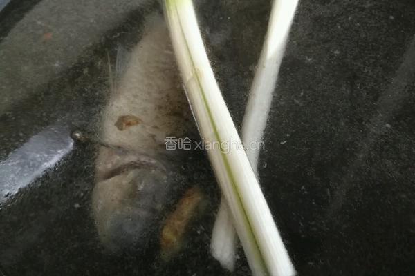 美味蔬菜鱼汤面的做法图解3
