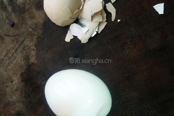 减脂增肌功能性沙拉的做法图解7