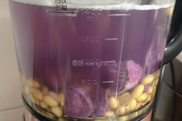 紫薯燕麦米豆浆（粗粮清肠）的做法图解4