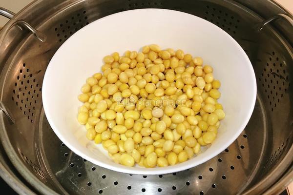 黄豆薏米豆浆（无加热破壁机版）的做法图解2