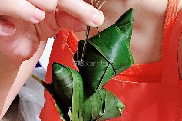 桂花红糖蜜粽（附粽子制作步骤）的做法图解9
