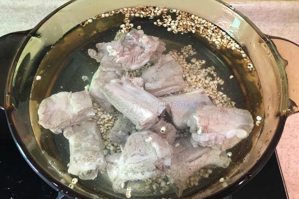 薏仁冬瓜排骨汤的做法图解7
