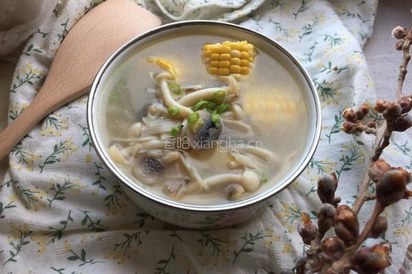 玉米鲜菌汤的做法图解5