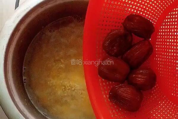 蜜枣小麦粥的做法图解8