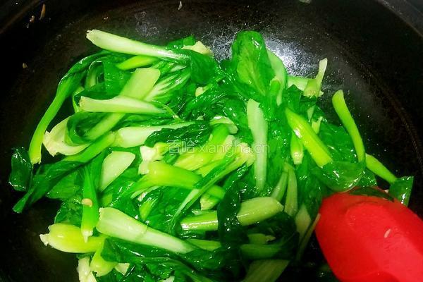 口蘑炒青菜的做法图解8
