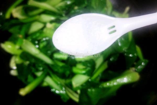 口蘑炒青菜的做法图解9