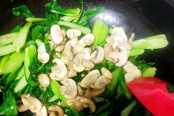 口蘑炒青菜的做法图解13