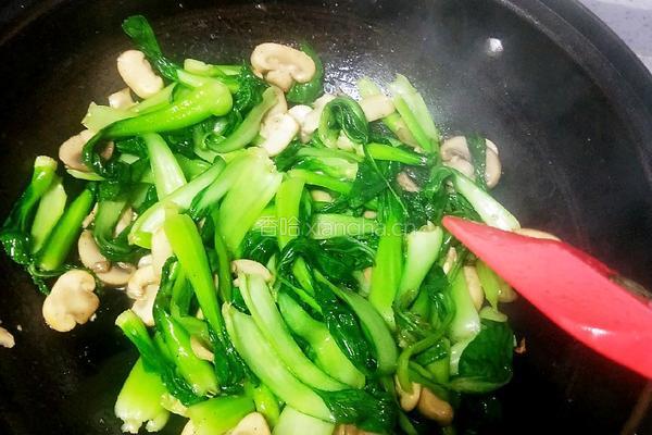 口蘑炒青菜的做法图解14