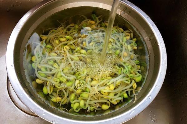 凉拌黄豆芽的做法图解4