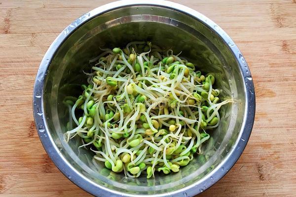 凉拌黄豆芽的做法图解5