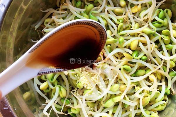 凉拌黄豆芽的做法图解8