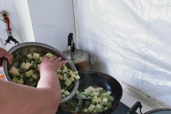 茄子西红柿的做法图解5