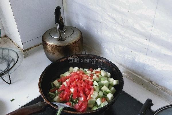 茄子西红柿的做法图解6