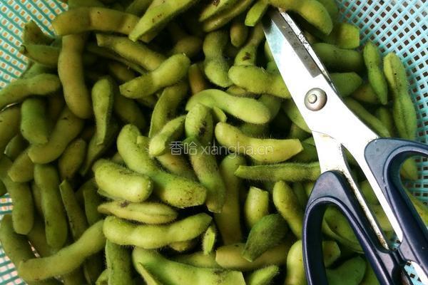盐水毛豆的做法图解1
