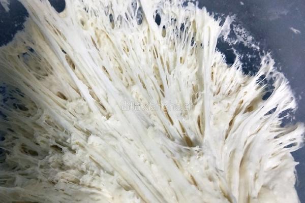 黑芝麻肉饼(不用揉面）的做法图解19