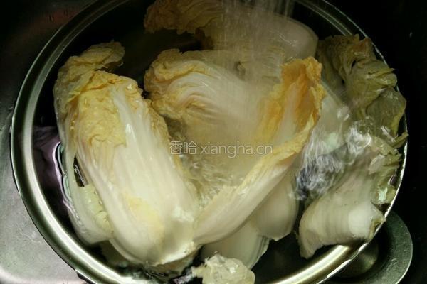 酸辣大白菜的做法图解2