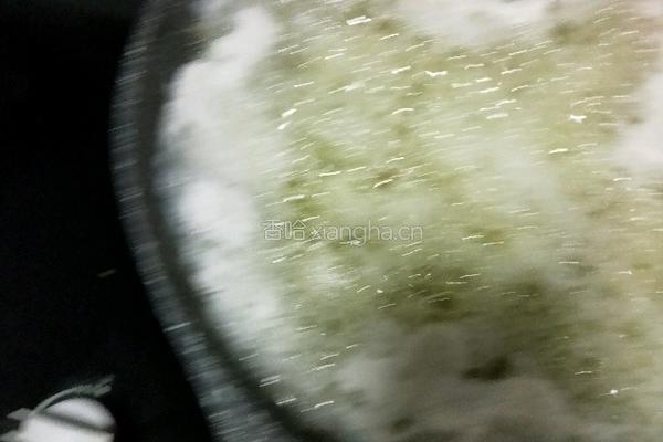 绿豆沙的做法图解4