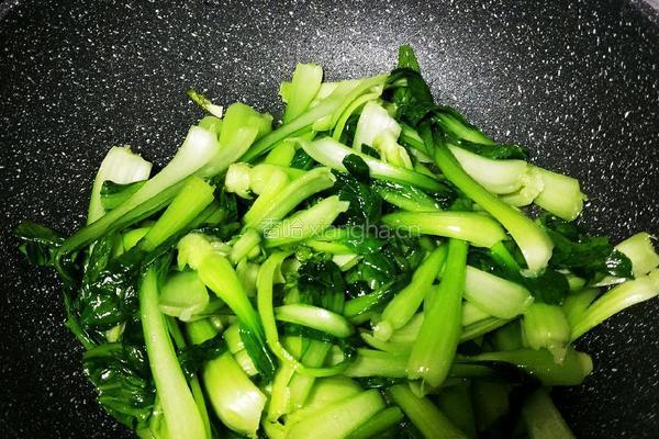 清炒鸡毛菜的做法图解5