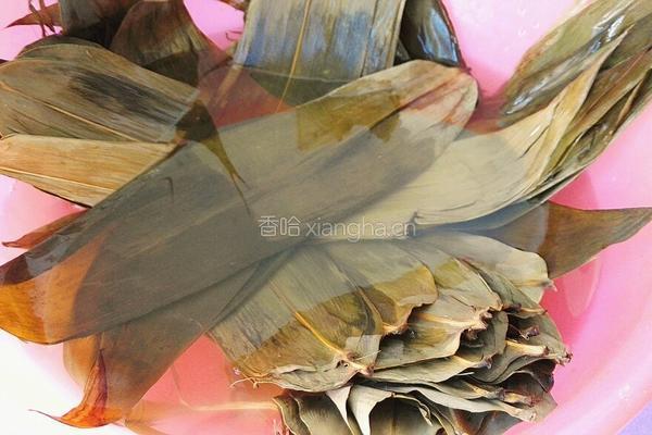 西米红豆三角粽的做法图解3