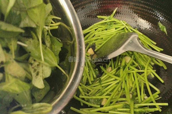 清炒汉菜的做法图解8