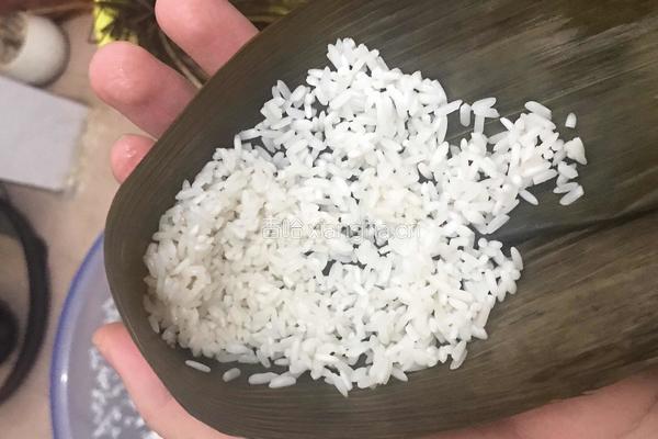 广式四角咸肉粽的做法图解9