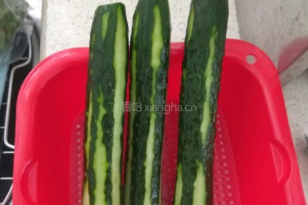 凉拌青瓜的做法图解2